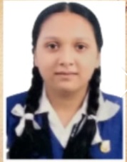 Chamudia Chamudia